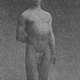Portrait of Bruno Zilliacus