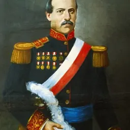 Portrait of Juan Francisco de Vidal