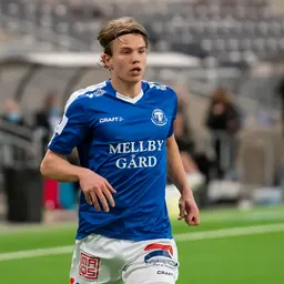 Portrait of Niklas Vesterlund