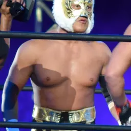 Portrait of Tiger Mask IV