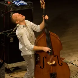 Portrait of Avishai Cohen
