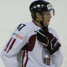 Portrait of Mārtiņš Cipulis