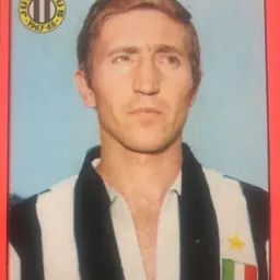 Portrait of Carlo Volpi