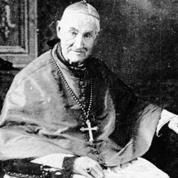 Portrait of Giovanni Antonio Farina
