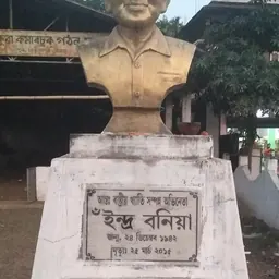 Portrait of Indra Bania