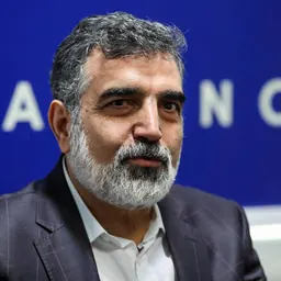 Portrait of Behrouz Kamalvandi