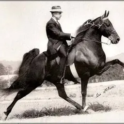 Portrait of Bud Dunn