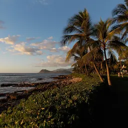 Portrait of Lakona of Oahu