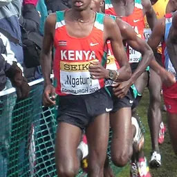 Portrait of Gedion Ngatuny