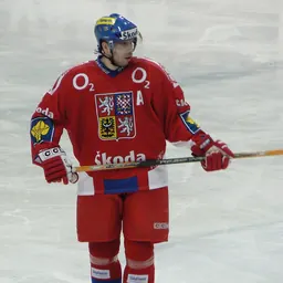 Portrait of Tomáš Žižka