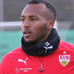 Portrait of Julian Green