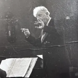 Portrait of Fritz Stein