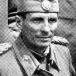 Portrait of Dragoslav Miljković