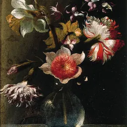 Portrait of Giacomo Recco