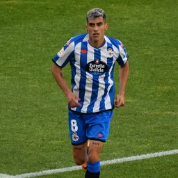 Portrait of Diego Villares Yáñez