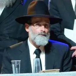 Portrait of Dovid Hofstedter