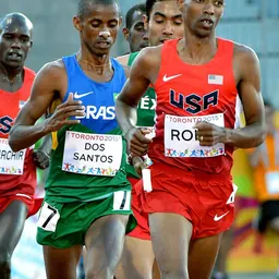 Portrait of Giovani dos Santos