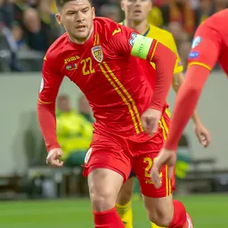 Portrait of Cristian Săpunaru