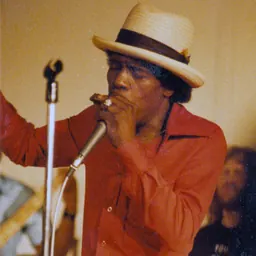 Portrait of Junior Wells