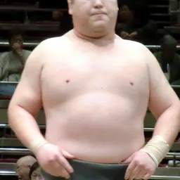 Portrait of Tamarikidō Hideki