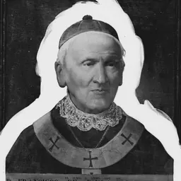 Portrait of Francisco de Paula García y Peláez