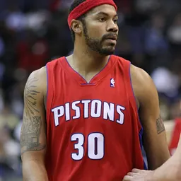 Portrait of Rasheed Wallace