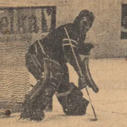 Portrait of Tone Gale