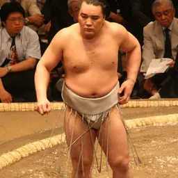 Portrait of Harumafuji Kōhei