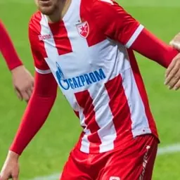 Portrait of Milan Pavkov