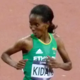 Portrait of Werknesh Kidane