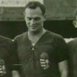 Portrait of Sándor Bíró