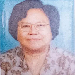 Portrait of Peng Peiyun