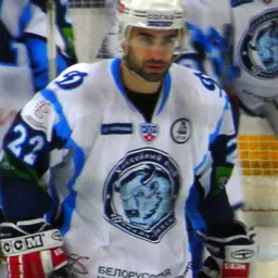 Portrait of Zbyněk Irgl