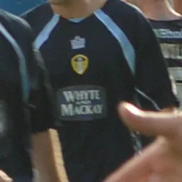 Portrait of Rob Hulse