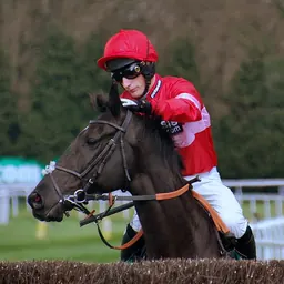 Portrait of Daryl Jacob
