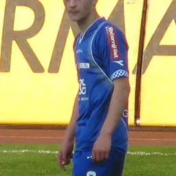Portrait of Ivan Tomečak