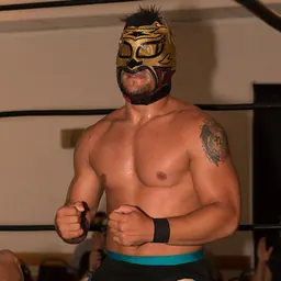 Portrait of Lince Dorado