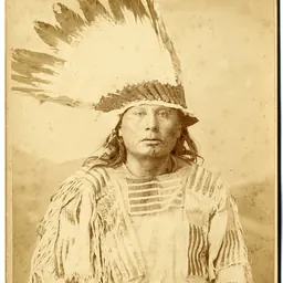 Portrait of Gall