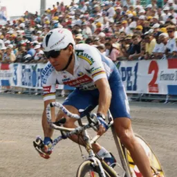 Portrait of Stephen Roche