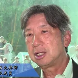 Portrait of Ronny Tong