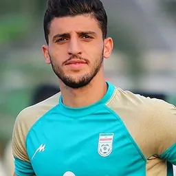 Portrait of Mehdi Mehdikhani