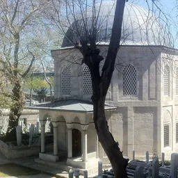 Portrait of Şah Sultan