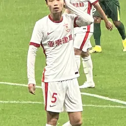 Portrait of Li Shenyuan