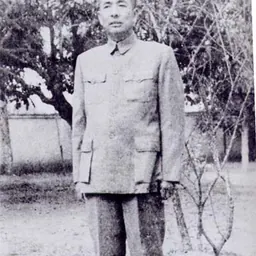 Portrait of Tao Zhu