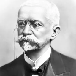 Portrait of Afonso Pena