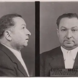 Portrait of Joseph Joanovici