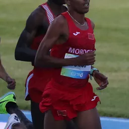 Portrait of Hassan Toriss