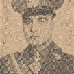 Portrait of Mihail Ghelmegeanu