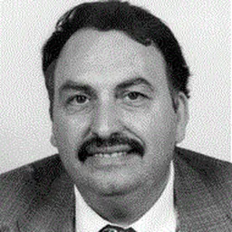 Portrait of Giacomino Granchi