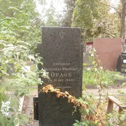 Portrait of Aleksander Orlov